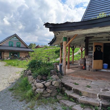 Agroturystyka Odnowica U Pawla Екстериор снимка